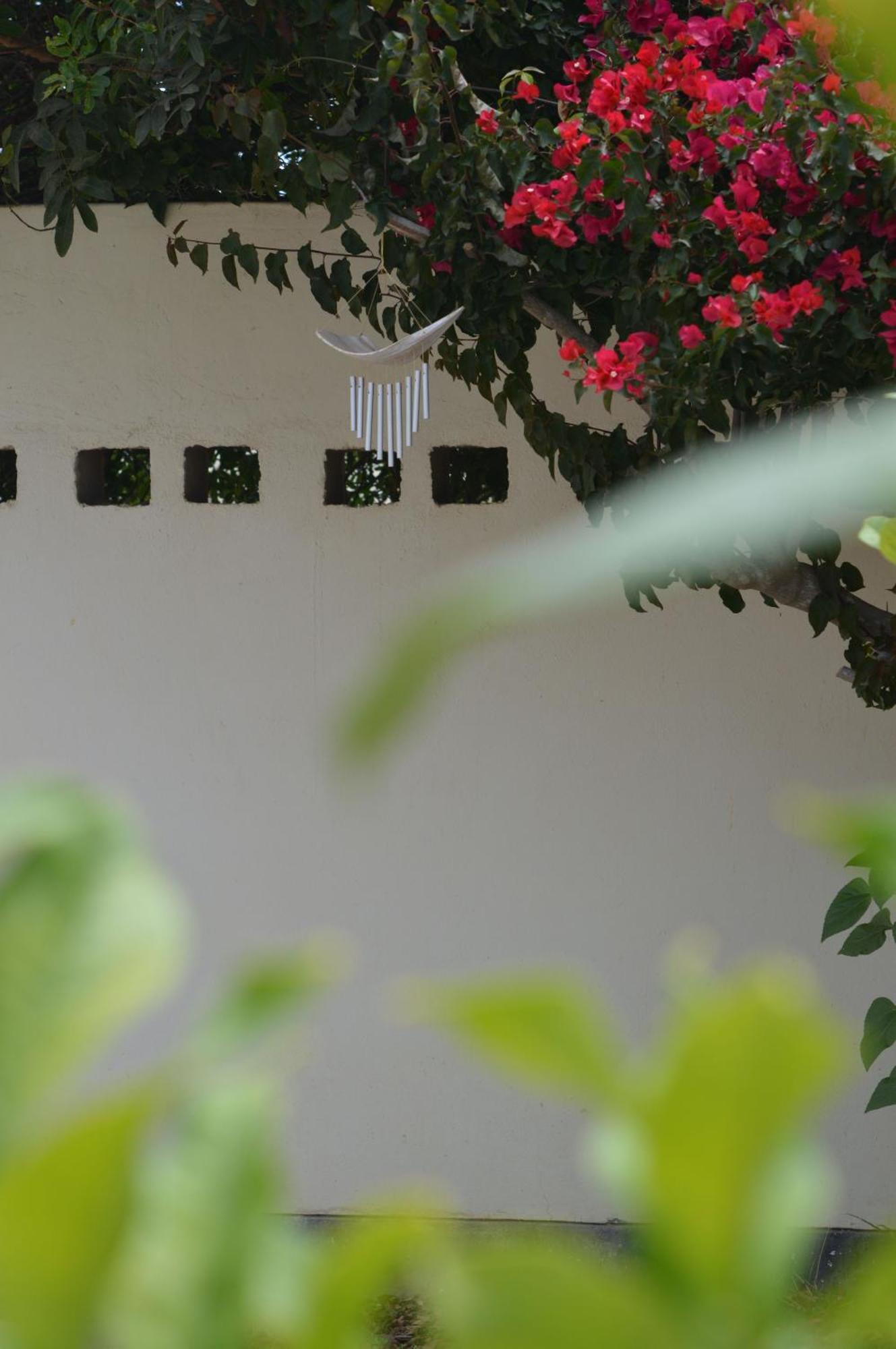 Cottage On Diamond Street Swakopmund Εξωτερικό φωτογραφία