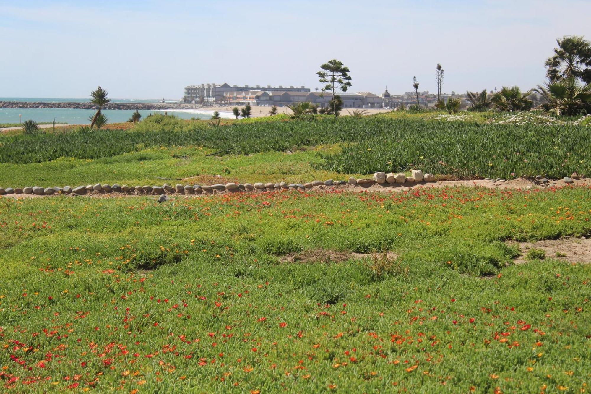 Cottage On Diamond Street Swakopmund Εξωτερικό φωτογραφία